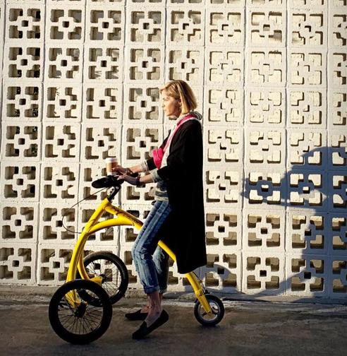 Alinker Walking Bike – anundefinedlife.com